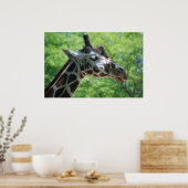 Poster Adorable Giraffe (Cuisine)