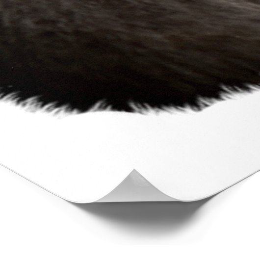 Poster Adorable Gray Kitten Chat Bubble Gum Nursery Enfan (Coin)