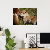 Poster Adorable Haflinger Fol (Bureau à domicile)