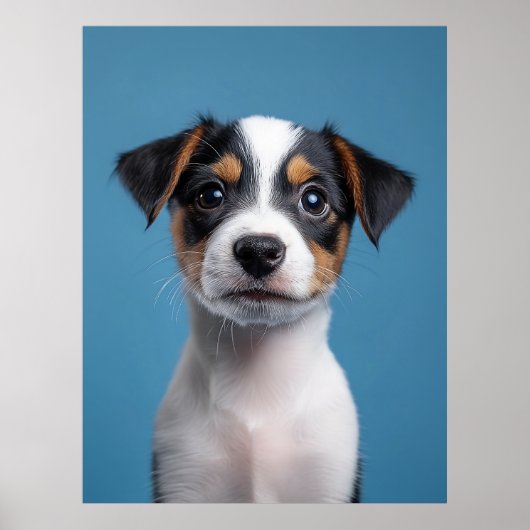 Poster Adorable Jack Russell Terrier Portrait de chiot (Devant)