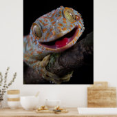Poster Adorable joyeux tokay gecko (Cuisine)