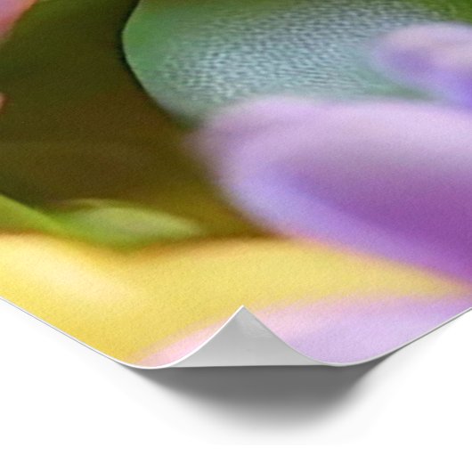 Poster Adorable Ladybug assis sur une fleur rose (Coin)