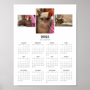 Poster Adorable Orange Tabby Cat Ginger 2025 Calendrier