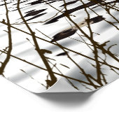 Poster Adorable Otter souriant dans le lac (Coin)