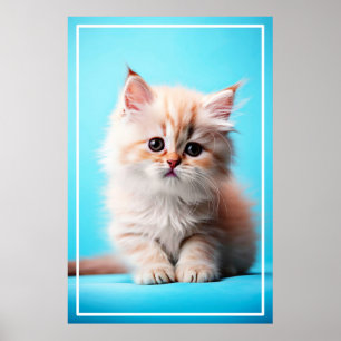 Poster Adorable Potrait de chaton blanc-54971