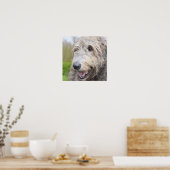Poster Adorable Wolfhound irlandais (Cuisine)
