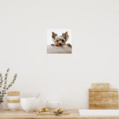 Poster adorable yorkshire terrier photographie (Cuisine)