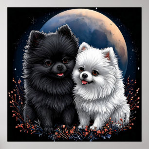 Poster Adorables chiots Pomeranian noir et blanc
