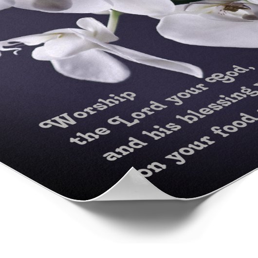 Poster "Adorez Le Seigneur, Votre Dieu" Exode 23:25 Proph (Coin)