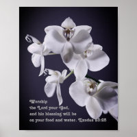 "Adorez Le Seigneur, Votre Dieu" Exode 23:25 Proph