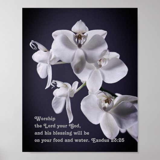 Poster "Adorez Le Seigneur, Votre Dieu" Exode 23:25 Proph (Devant)