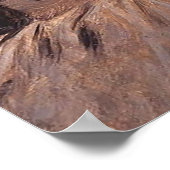 Poster Adriaen Brouwer Le Bitter (Coin)