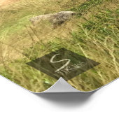 Poster Adventure Brothers (Coin)