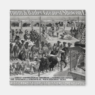 Poster adverteren: "De Barnum en Bailey Magneet