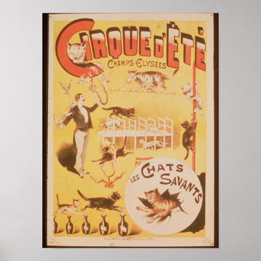 Poster adverteren de Cirque d'Ete in de (Voorkant)