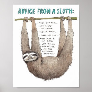 Poster Advice from a sloth art 