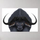 Poster AE Cape Bull (Devant)