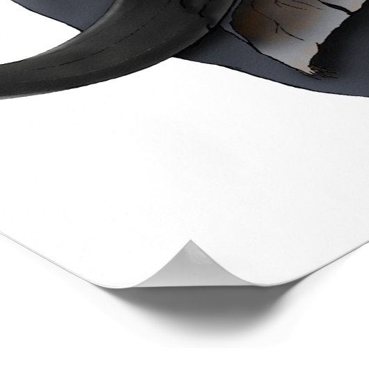 Poster AE Cape Bull (Coin)