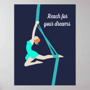 Poster Aerial Silks
