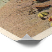 Poster Aérien de Crystal Cove (Coin)