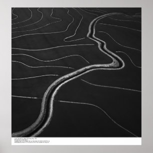 Poster Aérien, vallée de Sacramento, champs de riz Mai 19