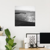 Poster Aériens, vallée de Sacramento, champs de riz, mai (Bureau à domicile)