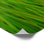 Poster Aéronef en lames de gazon (Coin)