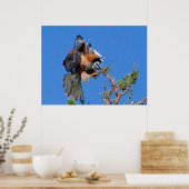 Poster aéroporté (Cuisine)