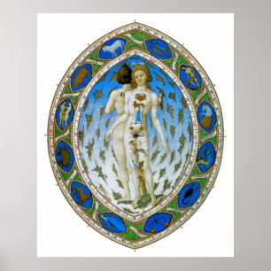 Poster/Afdruk: Anatomisch Man Poster