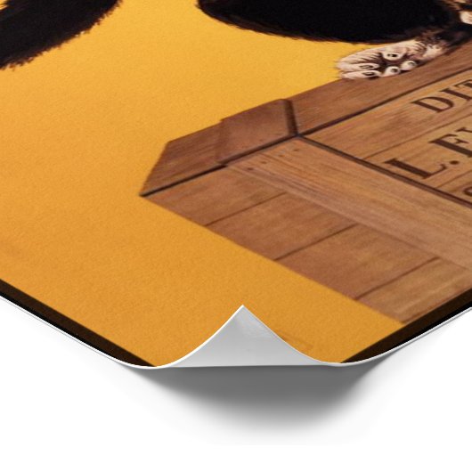 Poster/Afdruk: Anissetta Liquor Monkey Poster (Hoek)