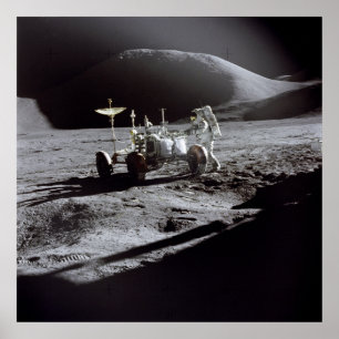 Poster/Afdruk: Astronaut Irwin op Moon Poster