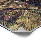 Poster/Afdruk: Fairyland: Slaap in het moonlicht Poster (Hoek)