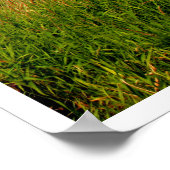 Poster/Afdruk: Mendenhall Lake en Glacier Poster (Hoek)