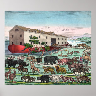 poster/afdruk "Noah's Ark" Poster