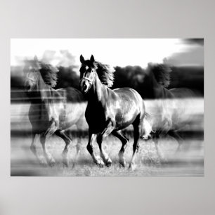 Poster afdrukken bij paarden - Posters met B&W-paa