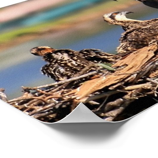 Poster affaire familiale (Coin)