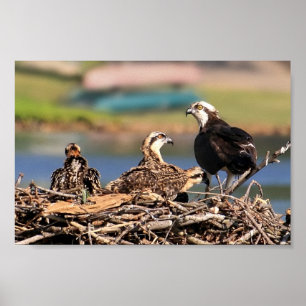 Poster affaire familiale