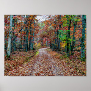 Poster Affaire On the Dirt Road new
