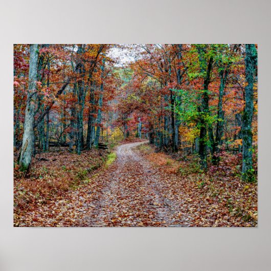 Poster Affaire On the Dirt Road new (Devant)