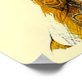 Poster Affaire Peacock (Coin)