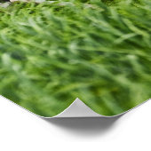 Poster Affichage des chevaux dans un champ de la Palouse  (Coin)