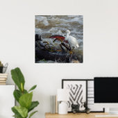 POSTER AFFICHAGE D'OISEAUX CARRIBÉENS (Bureau à domicile)