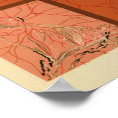 Poster Affichage interne Retine de l'oeil Vintage Imprime (Coin)