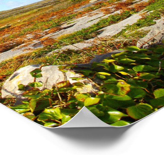 Poster Affichage lumineux (Coin)