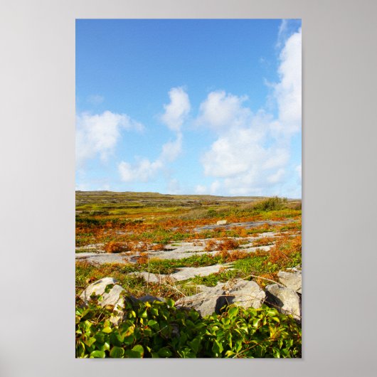 Poster Affichage lumineux (Devant)