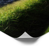 Poster Affichage pittoresque de l'affiche Honolulu Hawaii (Coin)