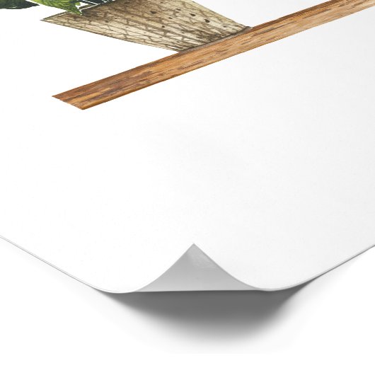 Poster Affichage plante pointé (Coin)