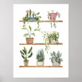 Poster Affichage plante pointé (Devant)