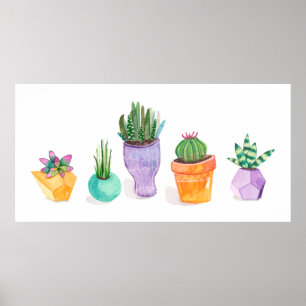 Poster Affichage succulent