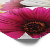 Poster affiche4 (Coin)